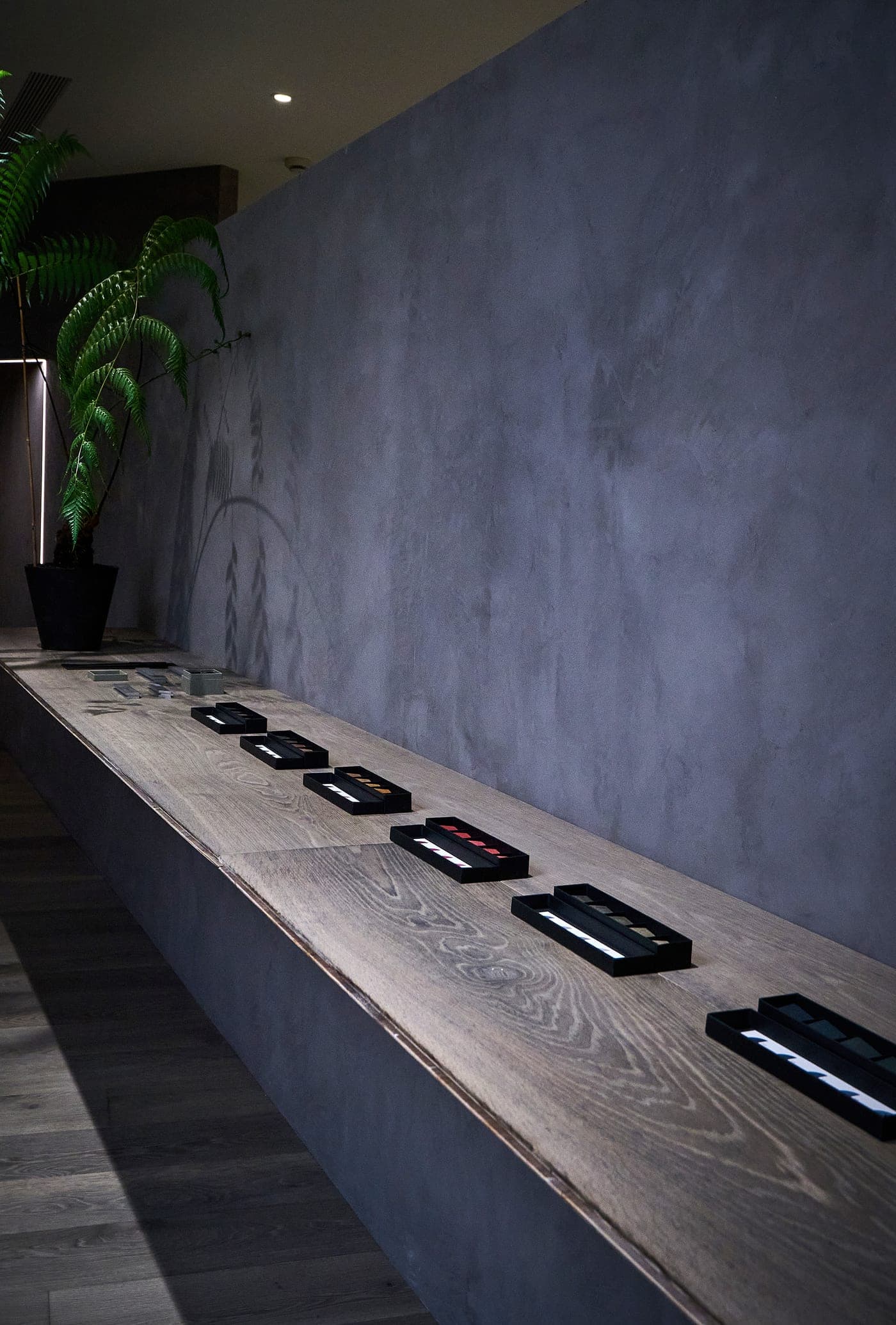 A space finished in StucDeco by Stoopen & Meeûs.