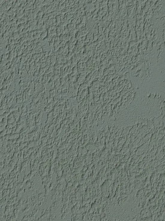 Nautilus (207)
