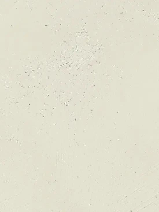 Snow (202)